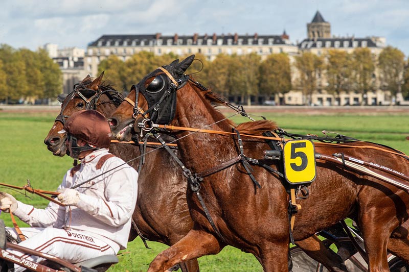 Hotel à proximité de l'Hippodrome de Vincennes| Hotel du ...